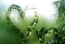 亚博体育- 勇士新四巨头名单 